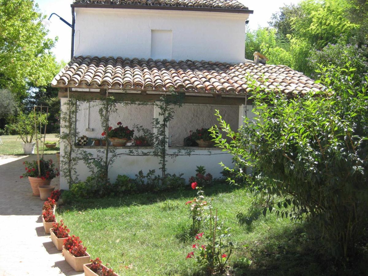 Casa Dei Pini Country House Bed & Breakfast Osimo Exterior foto